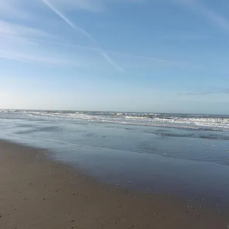Muschelfinder Sint Maartensvlotbrug