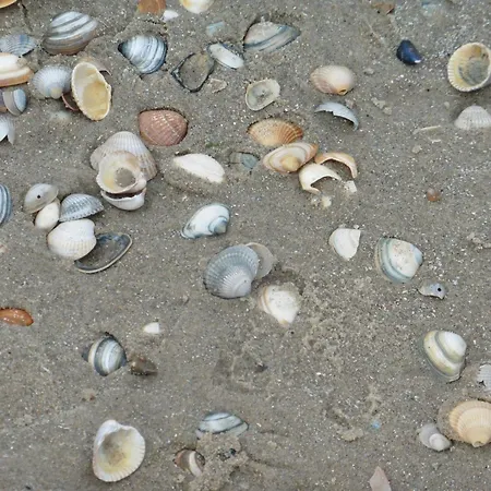 펜션 Muschelfinder