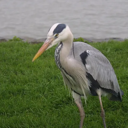 Muschelfinder Casa vacanze *