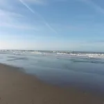 Muschelfinder Sint Maartensvlotbrug